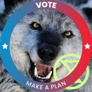 christophernanopoulos avatar