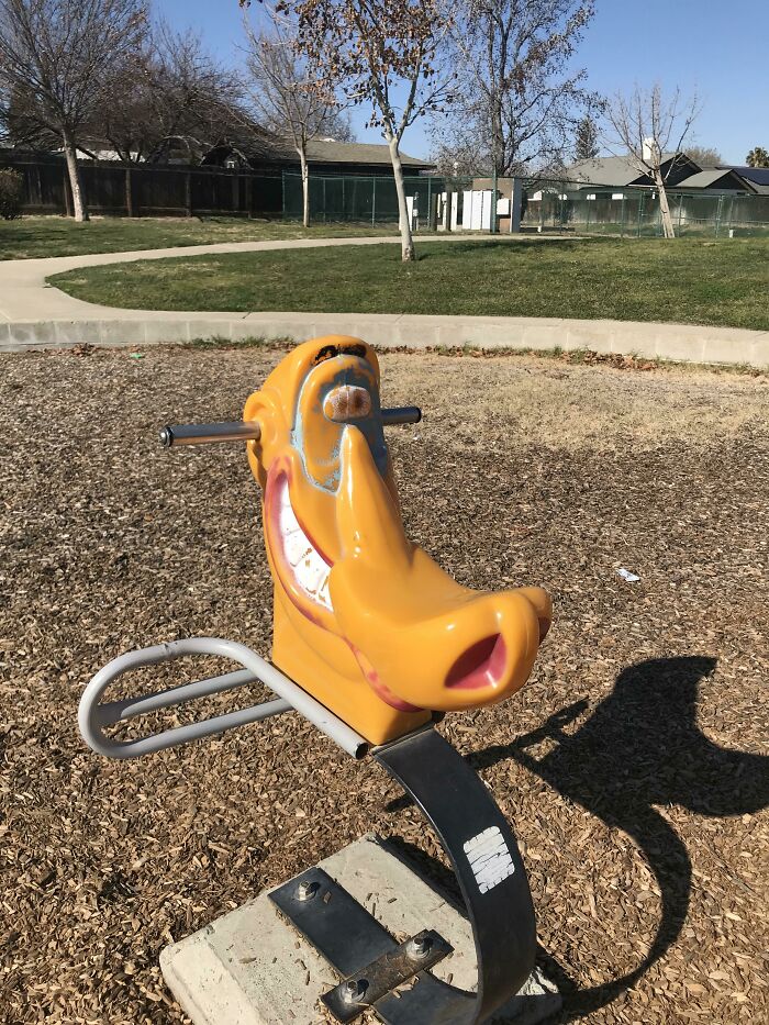 Your Supposed To Sit On It’s Face 😂