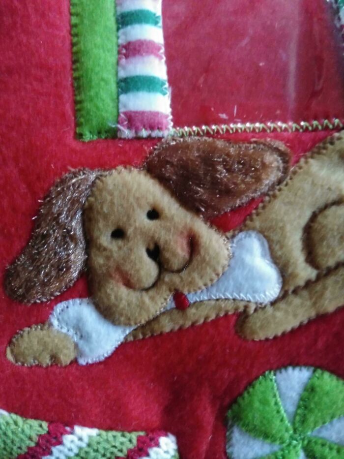 Not Sure That's How Dogs Work Bub