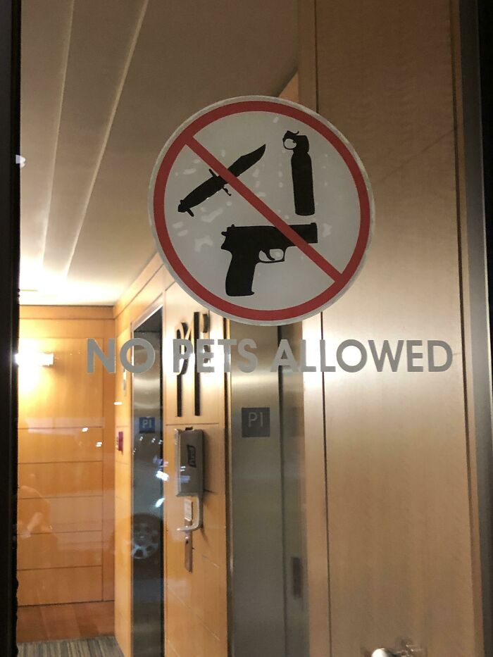 I Don’t Have Any Pets Like This