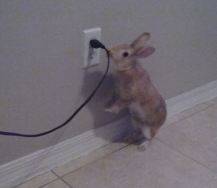  ¡¡¡Atrapada con las manos en la masa!!! Pensó que no la estaba mirando, pero todavía tenía la cámara apuntando y lista para tomar una foto 