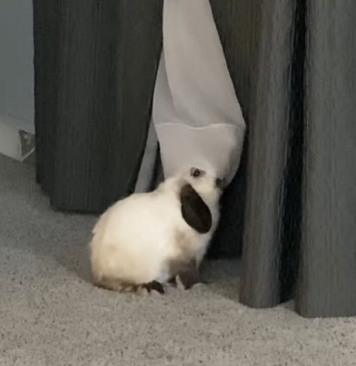 Jerk’s Favorite Snacks: