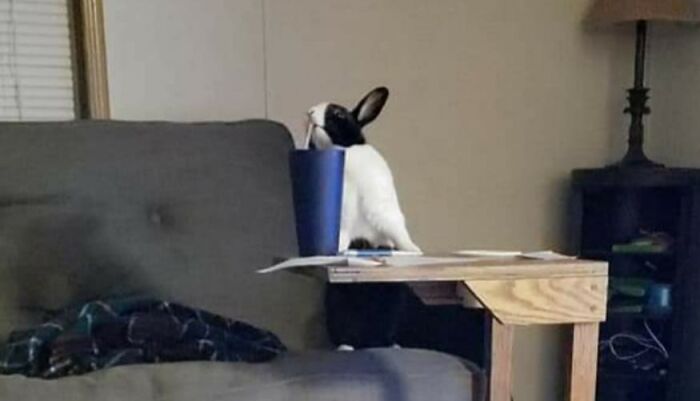 Esta muchacha atrevida decidió tomar de mi bebida 