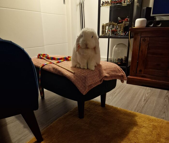 Por algo hay una manta en ese lugar 