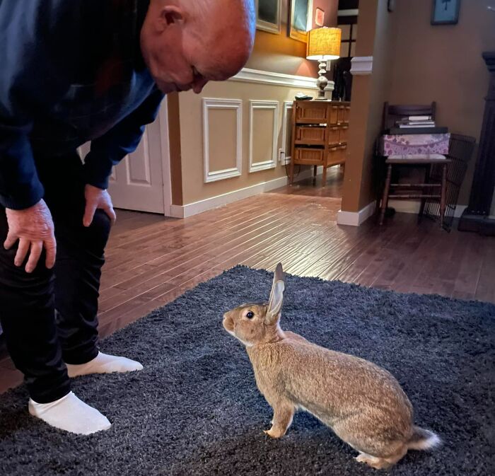 ¡¡Más golosinas, abuelo!! 