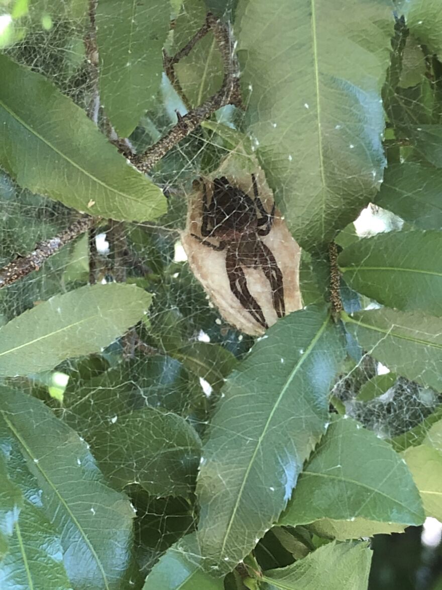 What You Can Find When You Explore Your Backyard!