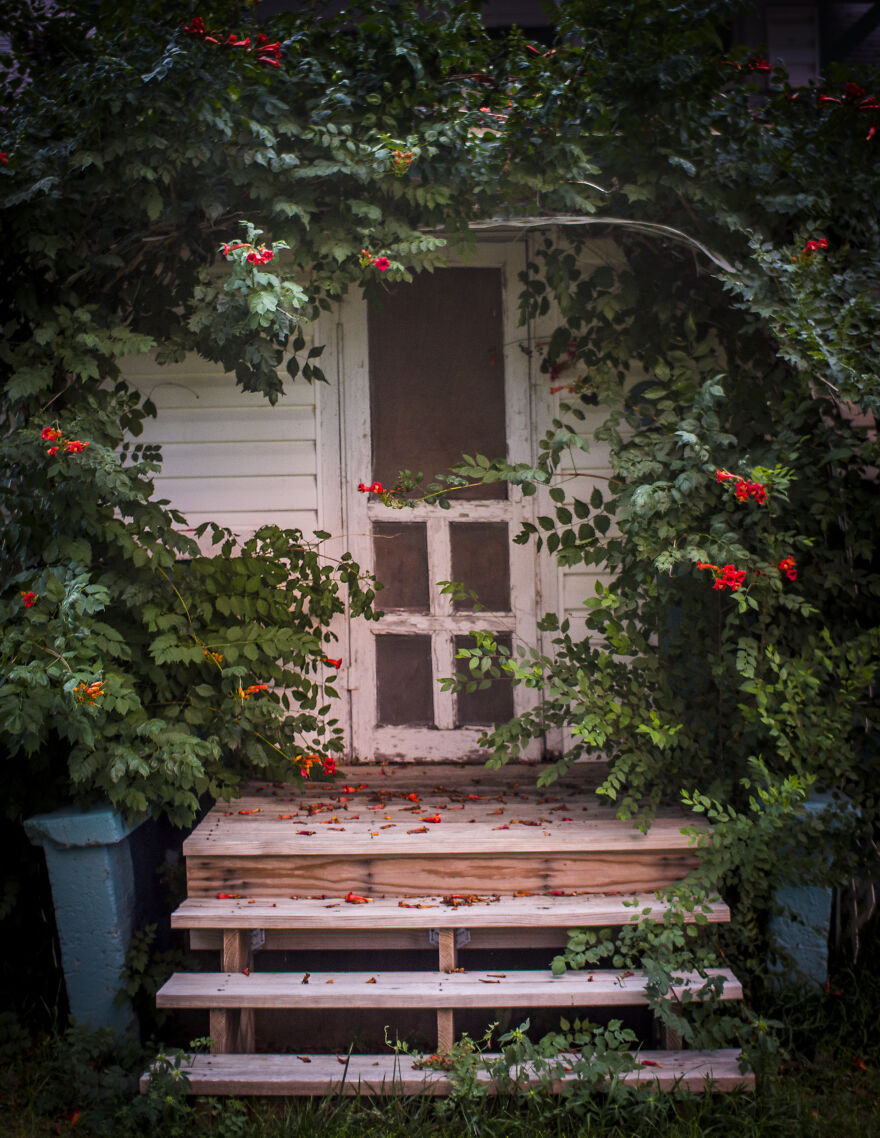 Reckless Abandon: The American West