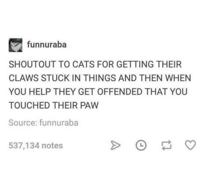 Funny-Cat-Jokes-Memes-Meow-Incorporated