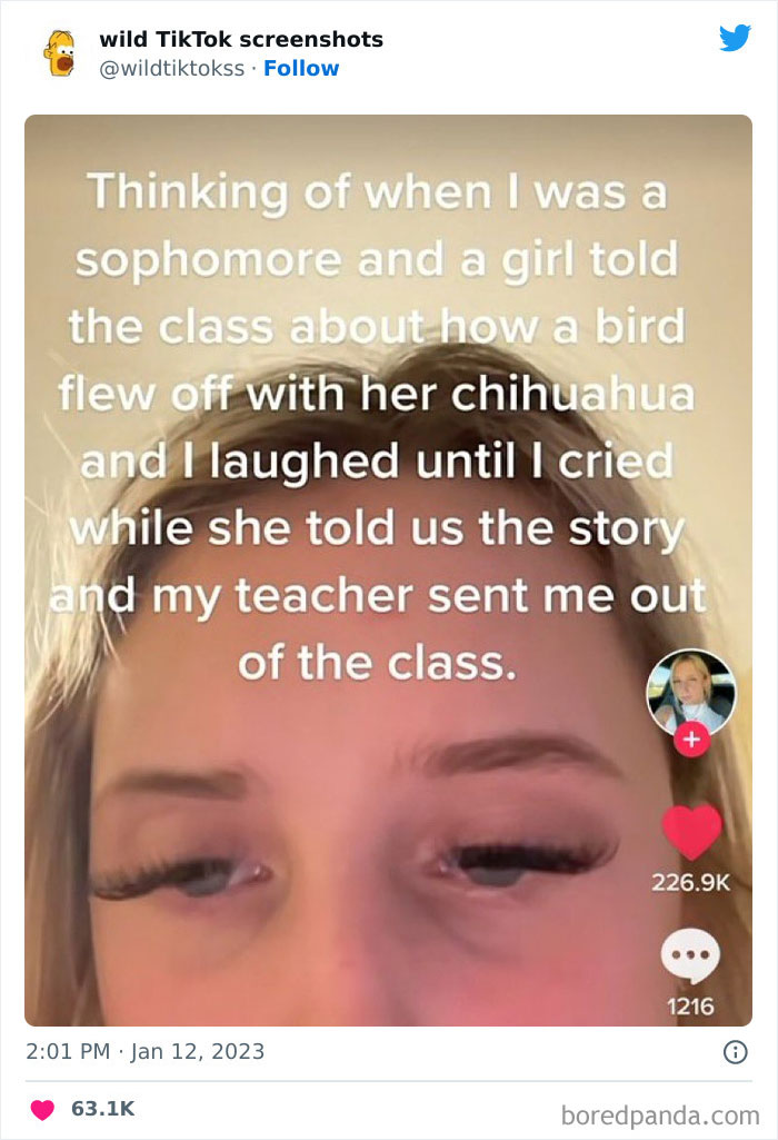 Wild-Screenshots-From-Tiktok
