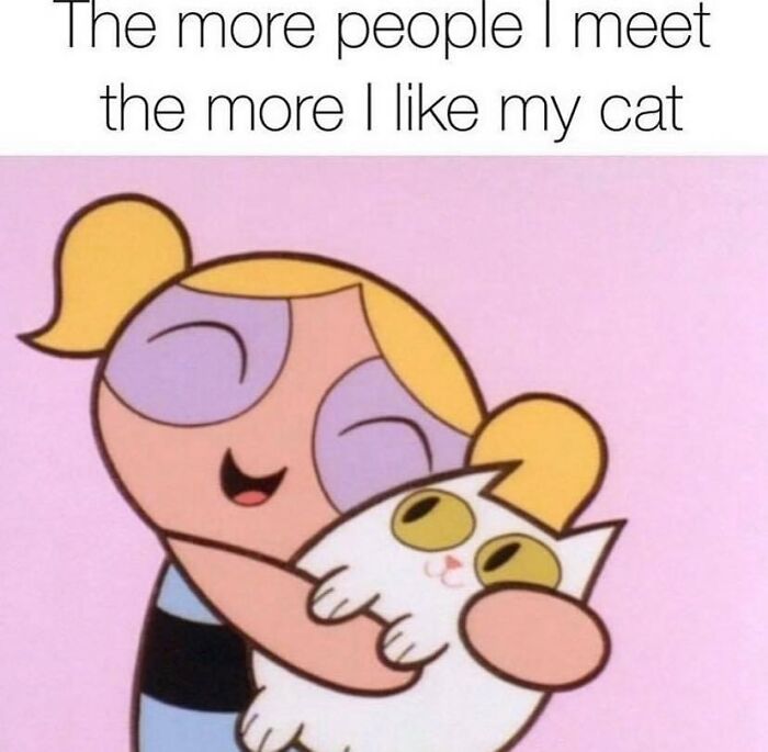 Funny-Cat-Jokes-Memes-Meow-Incorporated