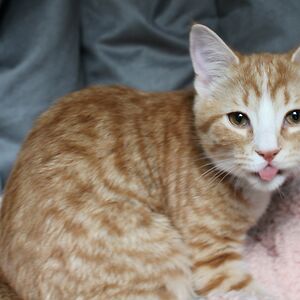 minus-00-mobiles avatar