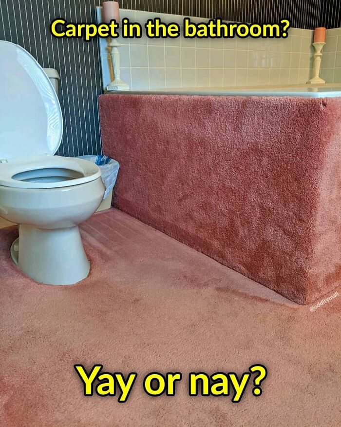 Funny-Weird-No-Context-Pics