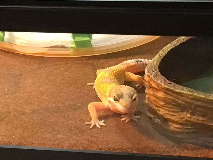 Krycek, My Silly Little Lad