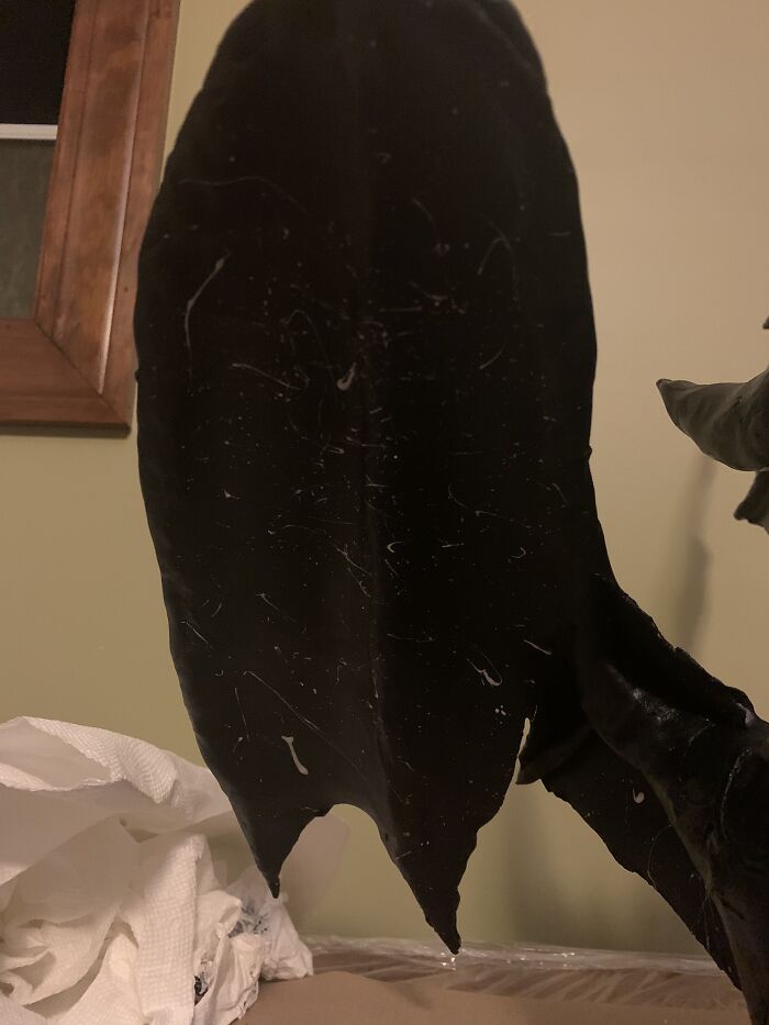 I Brought A Dragon To My State Beta Convention (13 Pics)