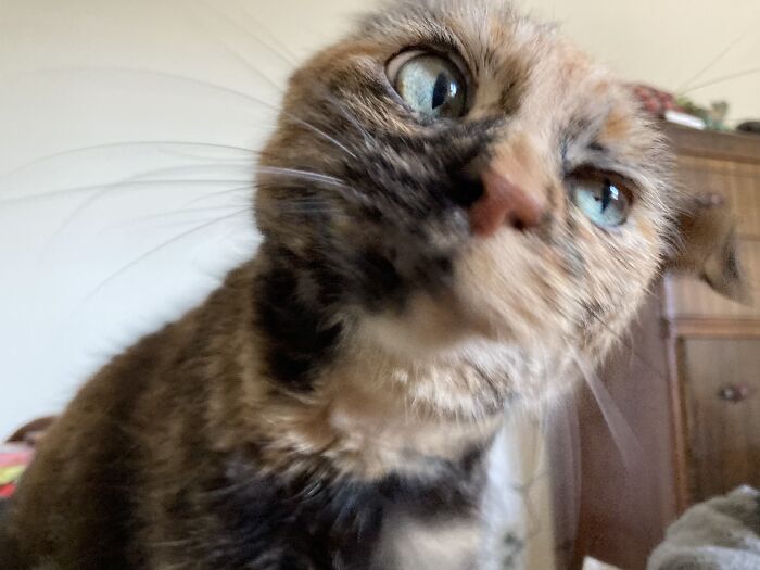 Got Her In The Middle Of A Sneeze…