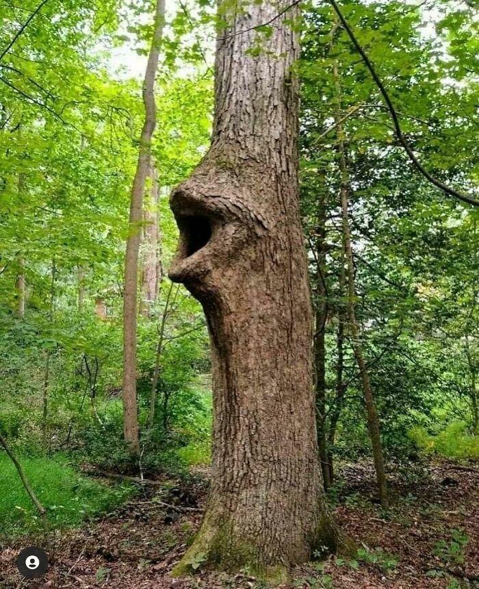 Funny-Weird-No-Context-Pics