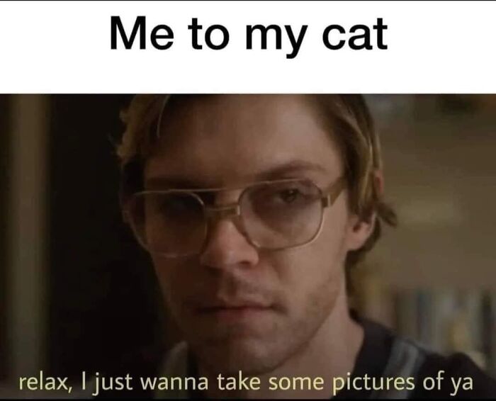 Funny-Cat-Jokes-Memes-Meow-Incorporated