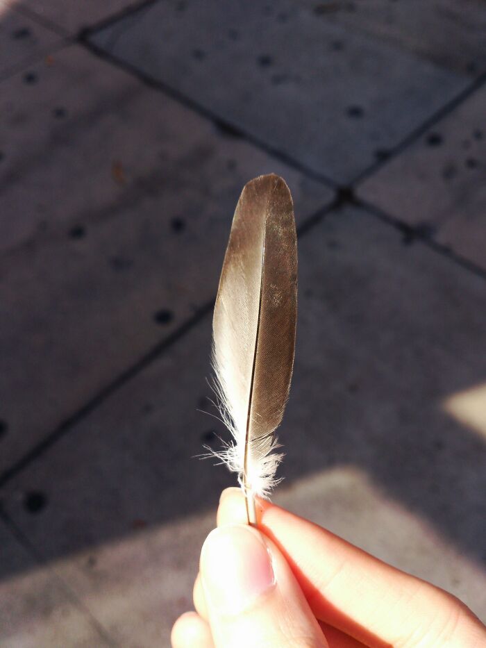 Person Asked “What's Something You Still Don't Understand Even After Many Different People Explain It To You?” And 30 People Confessed