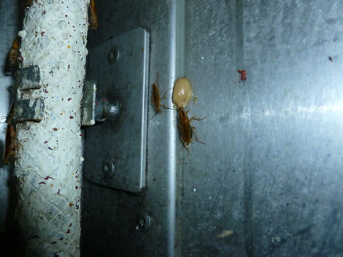 50 Things That Are Obvious To People In Certain Professions, But The General Public Often Fails To Grasp