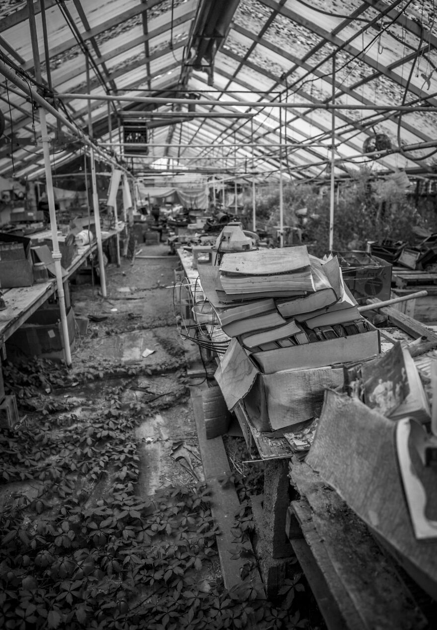 Reckless Abandon: The American West