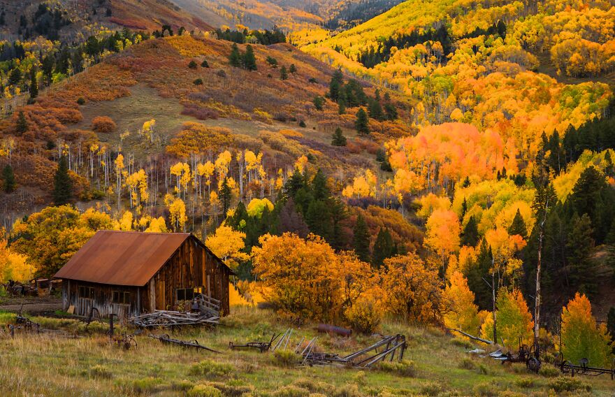 Reckless Abandon: The American West