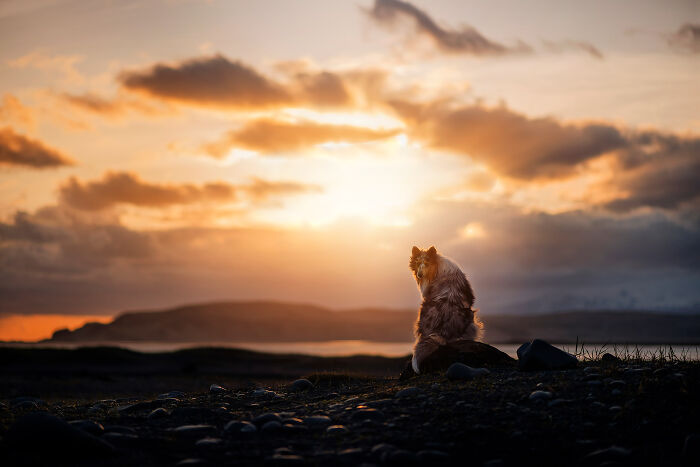 Sundown At Reynisfjara With Ynia