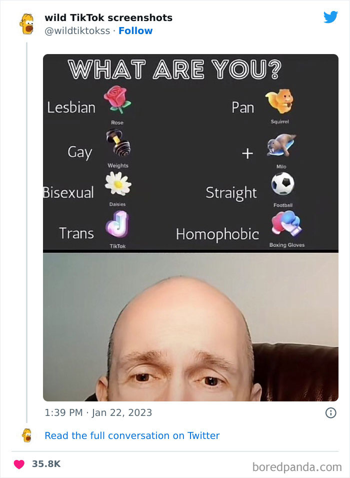 Wild-Screenshots-From-Tiktok