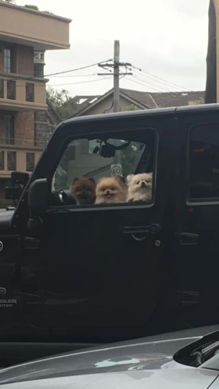 Estaba mirando un coche guay y me encontré con una agradable sorpresa