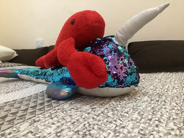 My Lobster And Narwhal