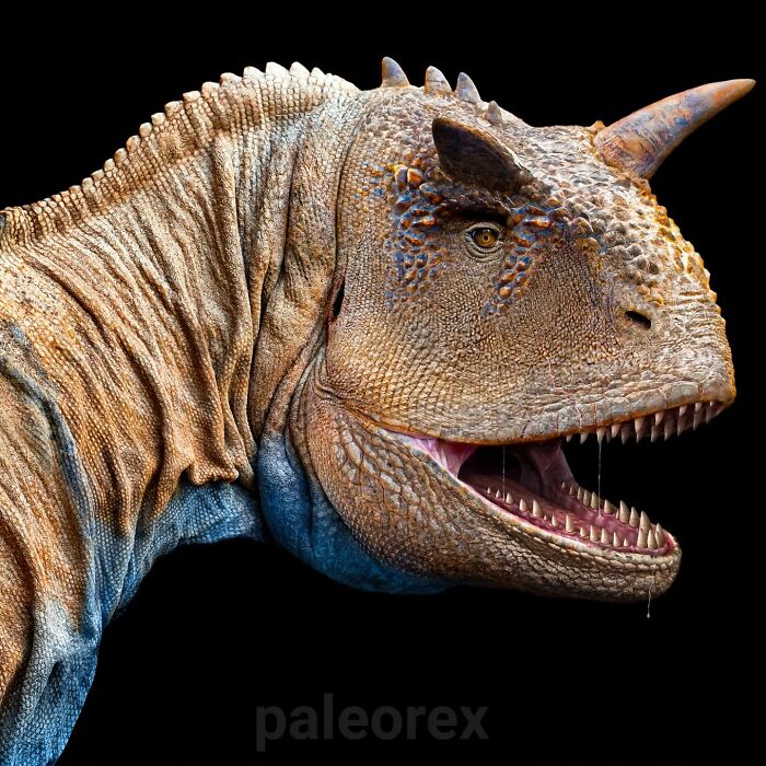 Realistic illustration of a long-extinct animal showing detailed skin texture and sharp teeth in profile view.