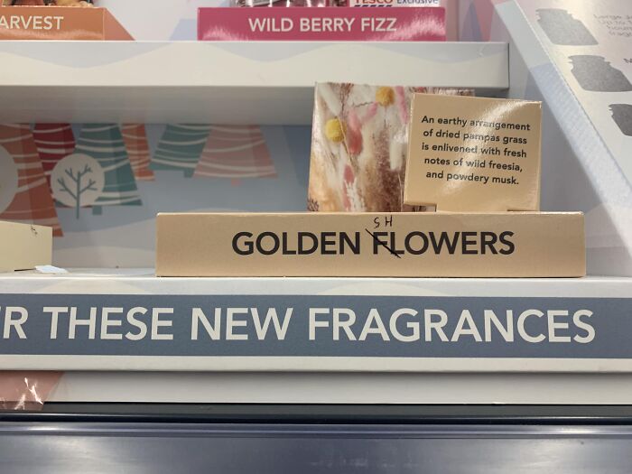 Funny-Questionable-Graffiti