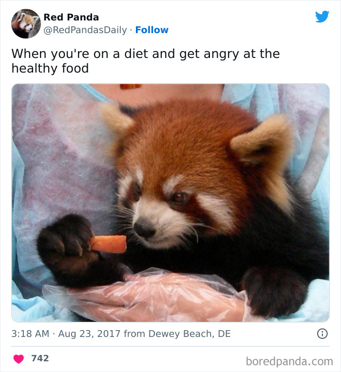 Funny-Diet-Tweets