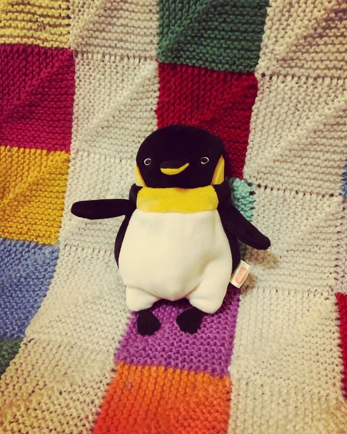 This Is Judgy Penguin, I Got Him For Christmas And I Think He’s Great 😂