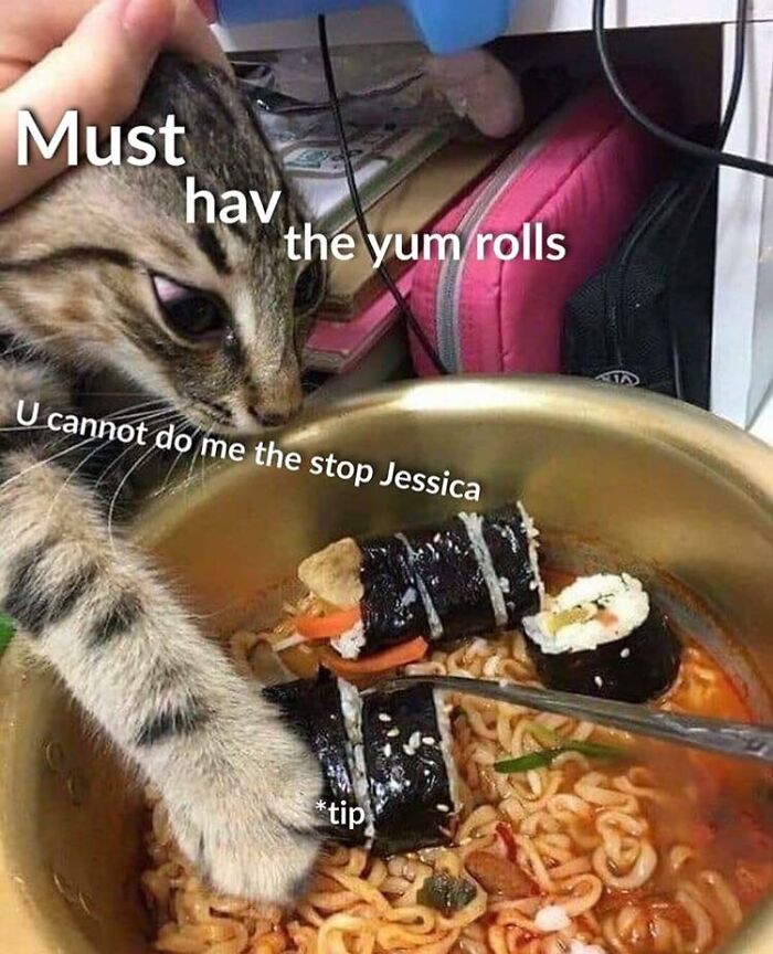 Funny-Cat-Jokes-Memes-Meow-Incorporated