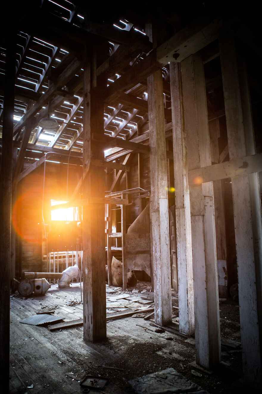 Reckless Abandon: The American West