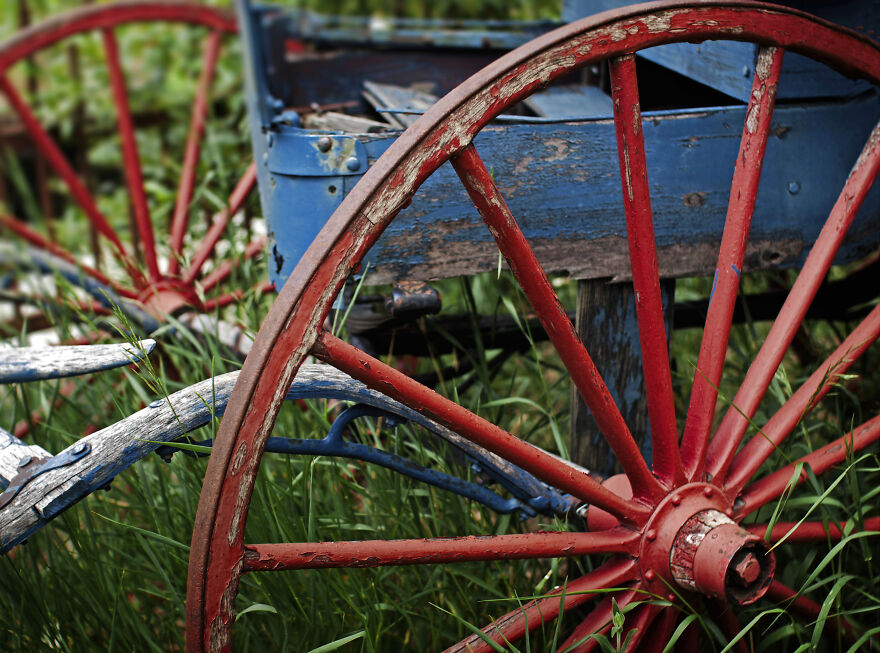 Reckless Abandon: The American West