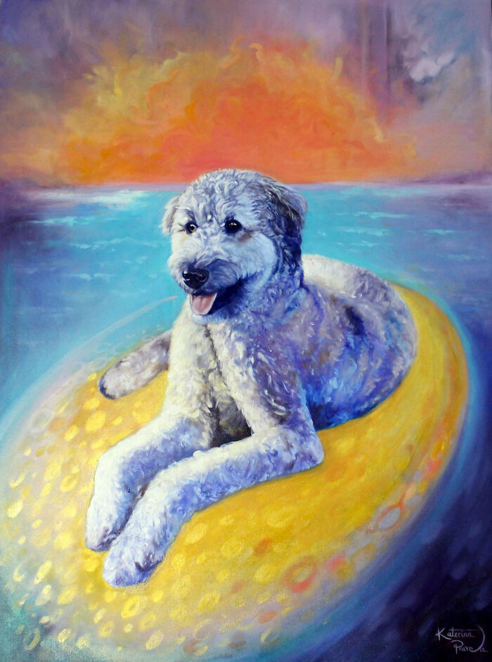 I Capture The Beautiful Souls Of The Animals I Paint (6 Pics)