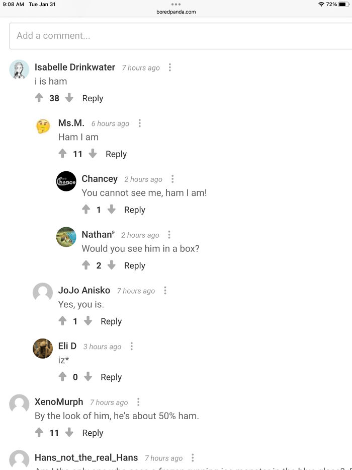 This Is My Vow. If I Can’t Outpost Grookey I’ll Add Magical Unicorn Into My Bp Name For A Week. Also This Post Is Called Ham