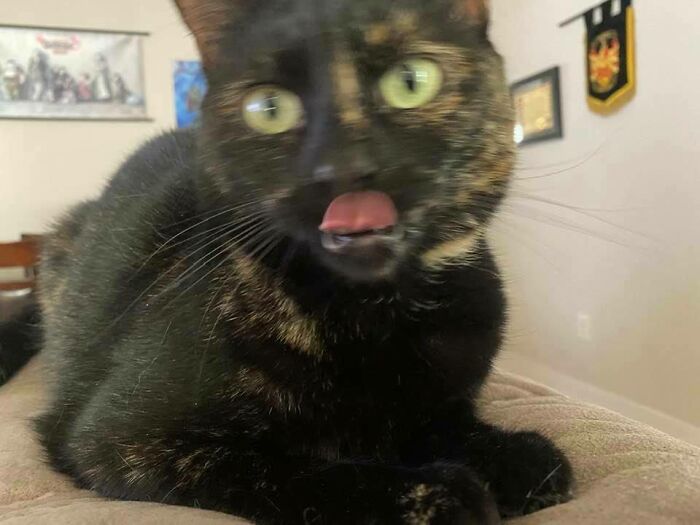 Mega Blep!
