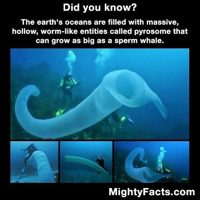 Creepy-Random-Facts