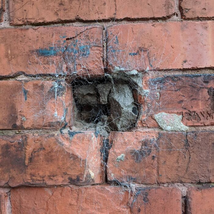 If Life Is A Video Game, I Found The Hidden Switch