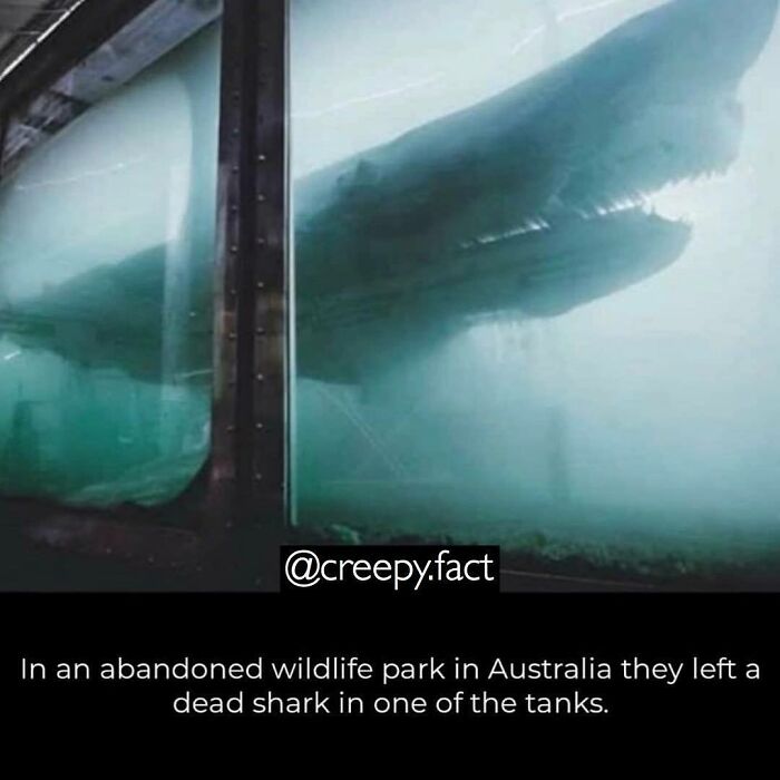 Creepy-Random-Facts