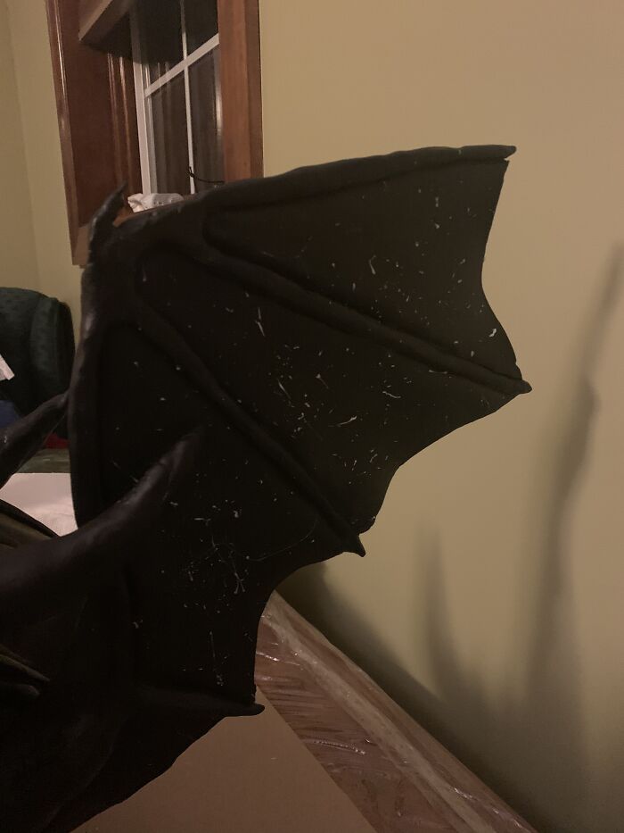 I Brought A Dragon To My State Beta Convention (13 Pics)