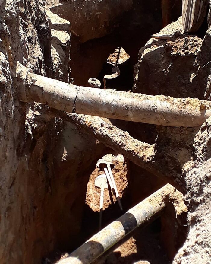 I Guess I Have A Mission To Complete Here