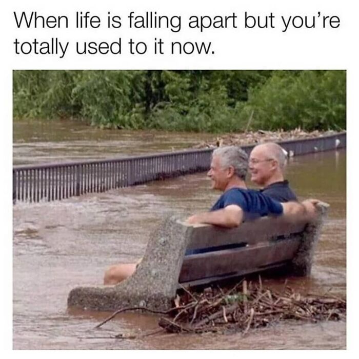 Introvert-Feels-Memes