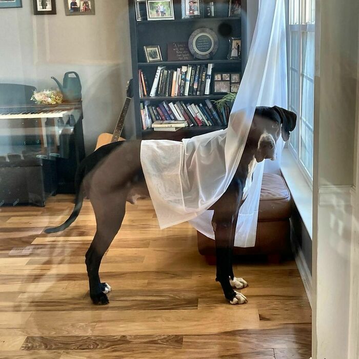 He Caught Me Watching Him