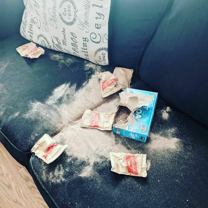 Not How I Thought My Day Was Going To Start, And No It Wasn't The Puppy That Did This