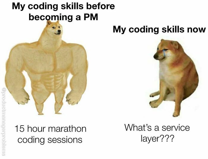 Product-Manager-Problems-Memes