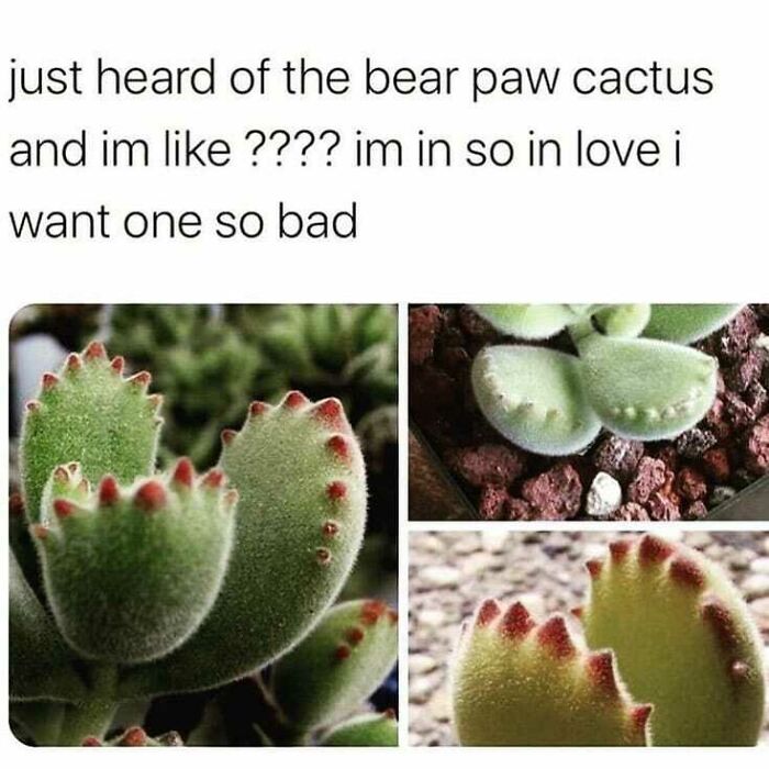 Girlsmeettheinternet