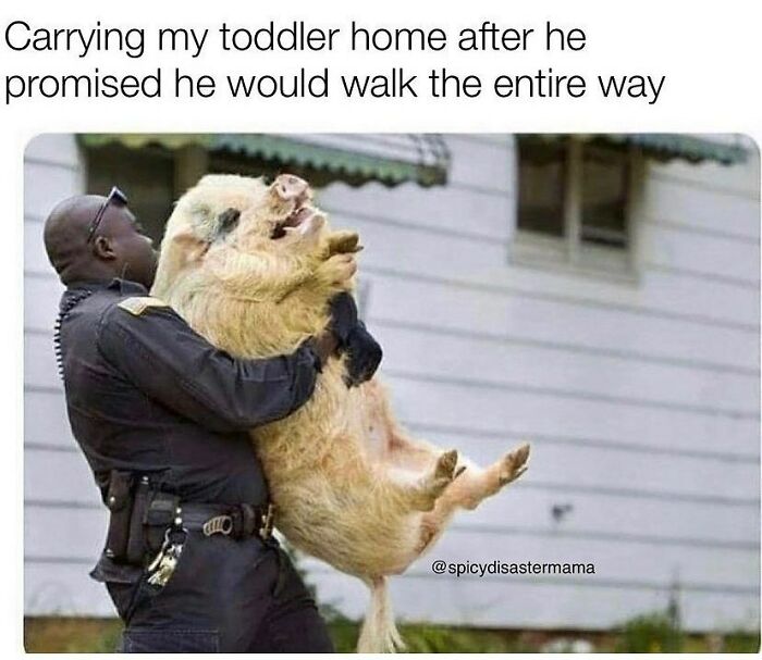 Spicy-Disaster-Mama-Parenthood-Memes